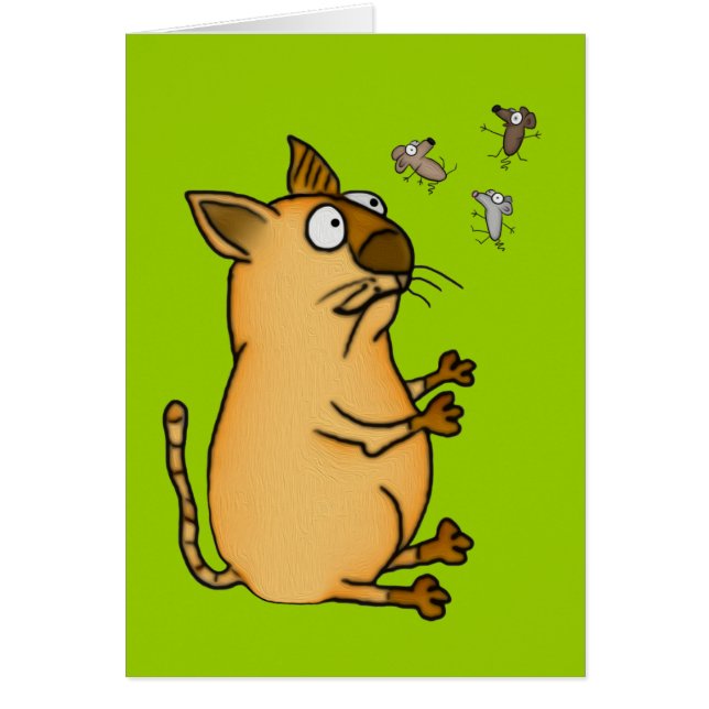 jongleerkat (Voorkant)