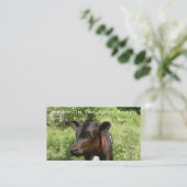 Jonny on the Spot Acres Visitekaartje (Staand voorkant)