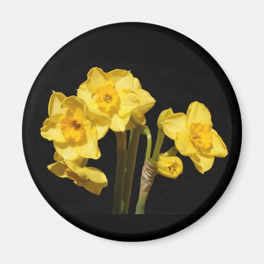 Jonquil Bloemen Magneet (Voorkant)