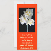 Jonquil Flower - Ecclesiastes 3:1 (Voorkant)
