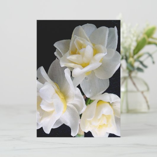 Jonquil Flower - Ecclesiastes 3:1 (Staand voorkant)