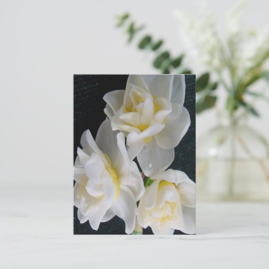 Jonquil Flower - Ecclesiastes 3:1 Briefkaart (Staand voorkant)