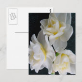 Jonquil Flower - Ecclesiastes 3:1 Briefkaart (Voorkant / Achterkant)