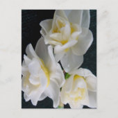 Jonquil Flower - Ecclesiastes 3:1 Briefkaart (Voorkant)
