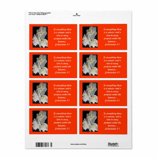 Jonquil Flower - Ecclesiastes 3:1 Etiket (Full Sheet)