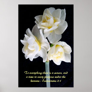 Jonquil Flower - Ecclesiastes 3:1 Poster
