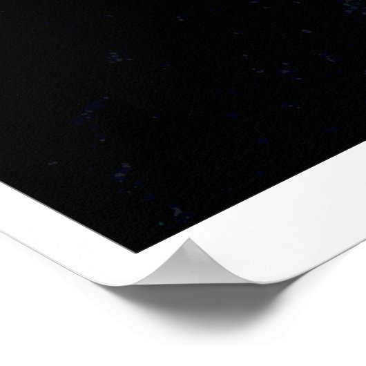 Jonquil Flower - Ecclesiastes 3:1 Poster (Hoek)