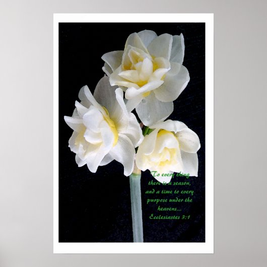 Jonquil Flower - Ecclesiastes 3:1 Poster (Voorkant)