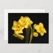 Jonquil Flowers Briefkaart (Voorkant / Achterkant)