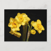 Jonquil Flowers Briefkaart (Voorkant)