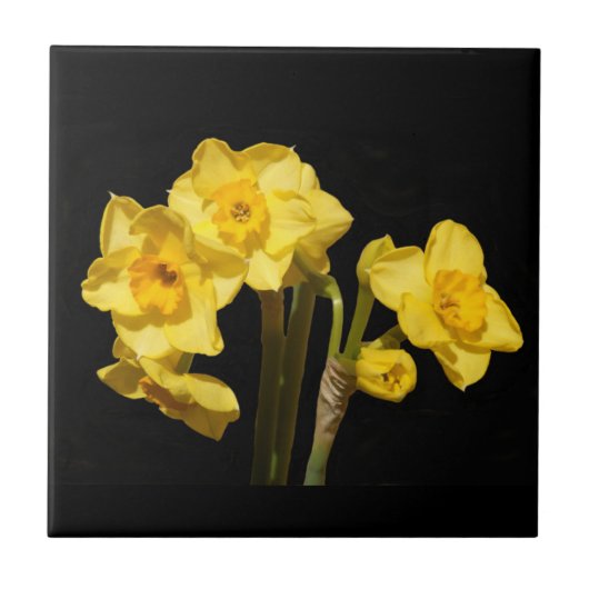 Jonquil Flowers Ceramic Tile Tegeltje (Voorkant)