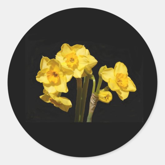 Jonquil Flowers Stickers (Voorkant)