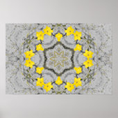 Jonquil Harmonie Wiel Poster (Voorkant)