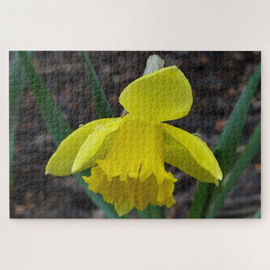 Jonquil in het voorjaar legpuzzel (Horizontaal)