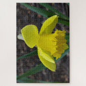 Jonquil in het voorjaar legpuzzel (Verticaal)
