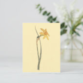 Jonquil Narcis Gele Bloem Illustratie Briefkaart (Staand voorkant)