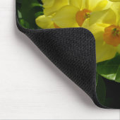 Jonquils/Daffodils/Narcissus Muismat (Hoek)