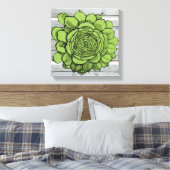 Jonus de Jovibarba heuffelii Canvas Afdruk (Insitu (Slaapkamer))