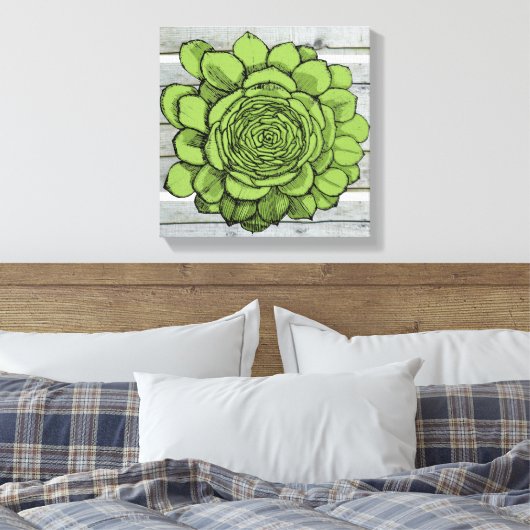 Jonus de Jovibarba heuffelii Canvas Afdruk (Insitu (Slaapkamer))