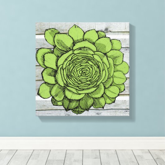 Jonus de Jovibarba heuffelii Canvas Afdruk (Insitu (Houten vloer))