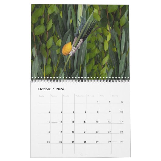 Joods leven kalender (Okt 2026)