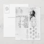 Joods manuscript ter illustratie van frenologie briefkaart (Voorkant / Achterkant)