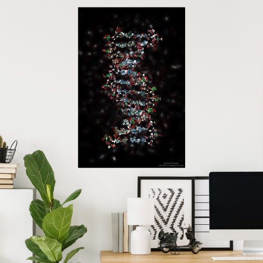 Joodse DNA Poster (Thuiskantoor)
