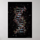 Joodse DNA Poster (Voorkant)