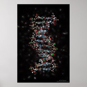 Joodse DNA Poster