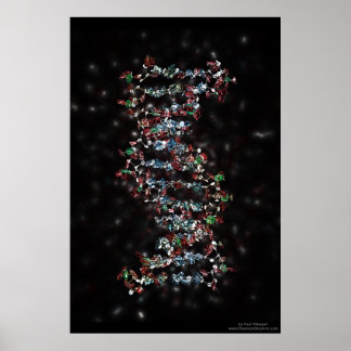 Joodse DNA Poster