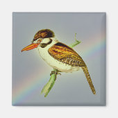 joodse Puff-vogel met Rainbow Sky Magneet (Voorkant)