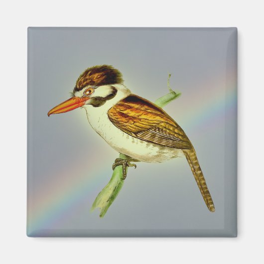  joodse Puff-vogel met Rainbow Sky Magneet (Voorkant)