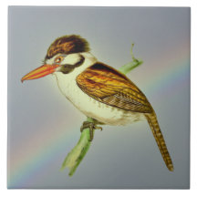  joodse Puff-vogel met Rainbow Sky