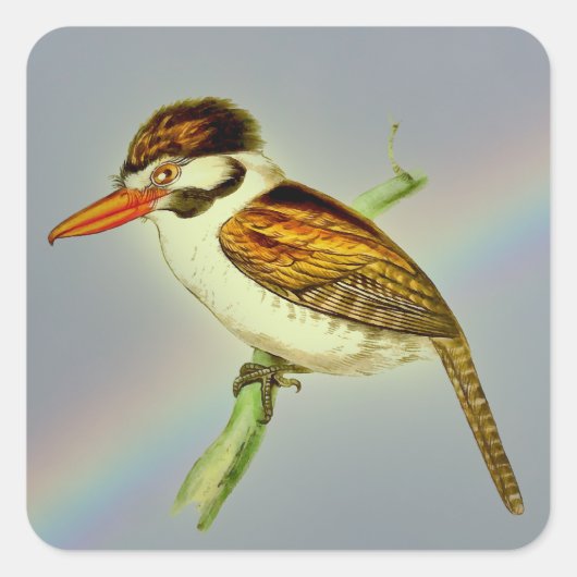  joodse Puff-vogel met Rainbow Sky Vierkante Sticker (Voorkant)