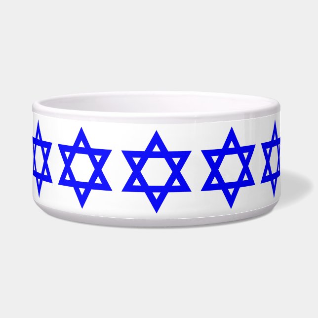 ✡︎ Joodse ster van David Voerbakje (Voorkant)