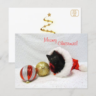 Joon's Christmas - Kat / Kitten Briefkaart