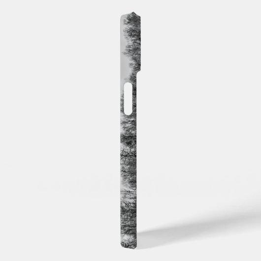 Joplin Grand Herfsten Overzicht Grayscale Case-Mate iPhone Case (Achterkant / Rechts)