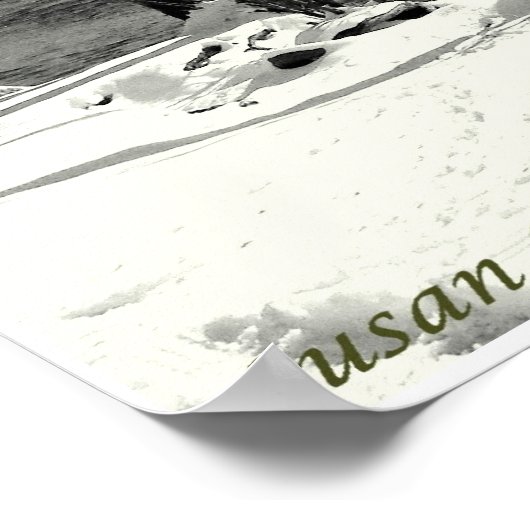 Joplin Missouri Shoal Creek Bridge Poster (Hoek)