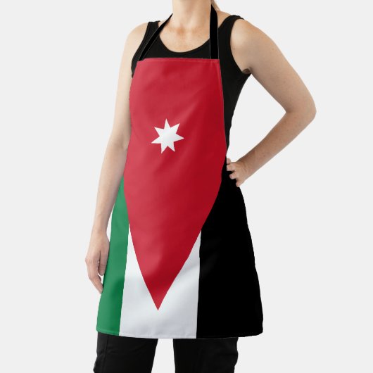 Jordan Flag Schort (Insitu)