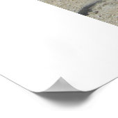 Jordan Jere' Poster (Hoek)