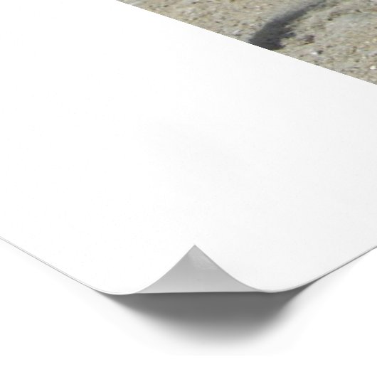 Jordan Jere' Poster (Hoek)