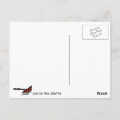 Jordan Pond II in het Acadia National Park Briefkaart (Achterkant)