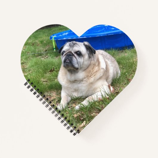 Jordan Pugs & Kisses Heart-Shaped-laptop Notitieboek (Voorkant)
