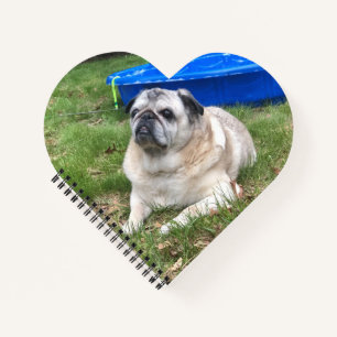 Jordan Pugs & Kisses Heart-Shaped-notebook Notitieboek