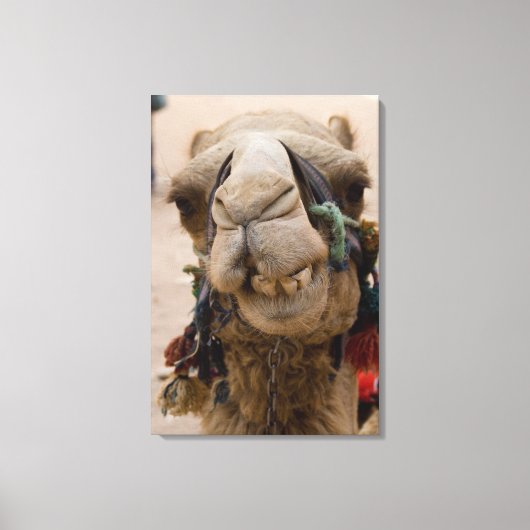 Jordanië, de oude Nabateese stad Petra Canvas Afdruk (Voorkant)