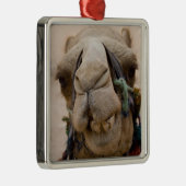 Jordanië, de oude Nabateese stad Petra Metalen Ornament (Rechts)