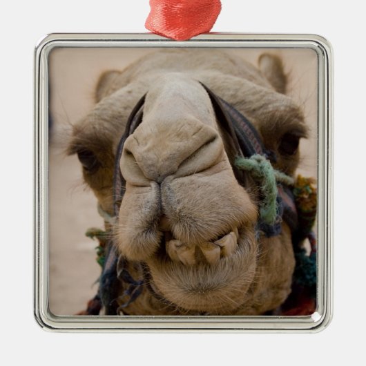 Jordanië, de oude Nabateese stad Petra Metalen Ornament (Voorkant)