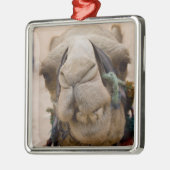 Jordanië, de oude Nabateese stad Petra Metalen Ornament (Links)