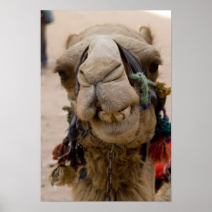 Jordanië, de oude Nabateese stad Petra Poster