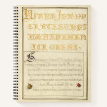 Joris Hoefnagel keverachtige insecten 1562